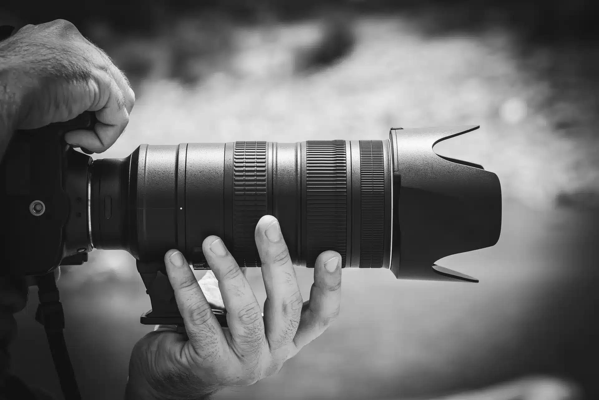 Mark Haysom Photography